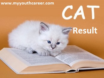 CAT Exam result 2013,CAT result 2013,CAT entrance exam Result 2013,result date of CAT exam 2013