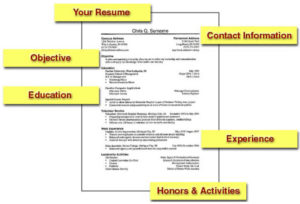 Resume Format & Layout for CV, how to build professional CV,Resume layout for professional CV,resume templates to build CV,resume format for freshers